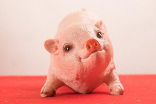 姜子牙是什么生肖(姜子牙属什么生肖)插图4