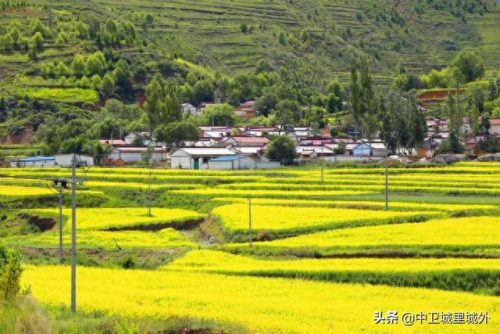 固原市最穷的乡镇排名前十(固原市哪个镇最大)插图7