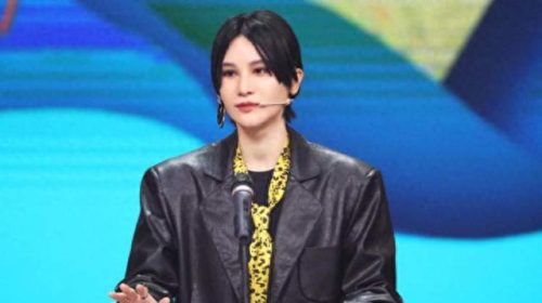 超女许飞(许飞)插图5