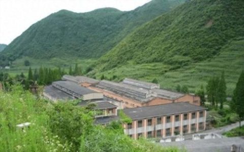 机电类国营企业排名前十(国营大中型企业排名)