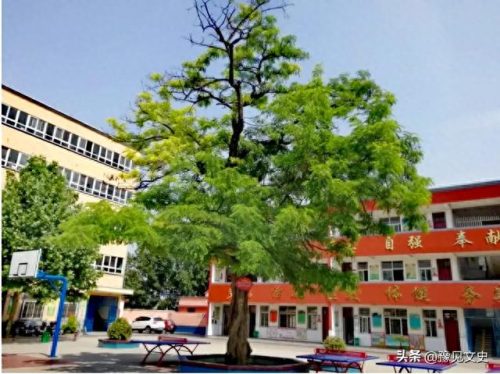 遂平学校排名前十小学(遂平县小学排名)插图