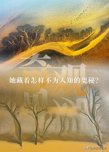 盐城水域排名前十(盐城市省内排名)插图1