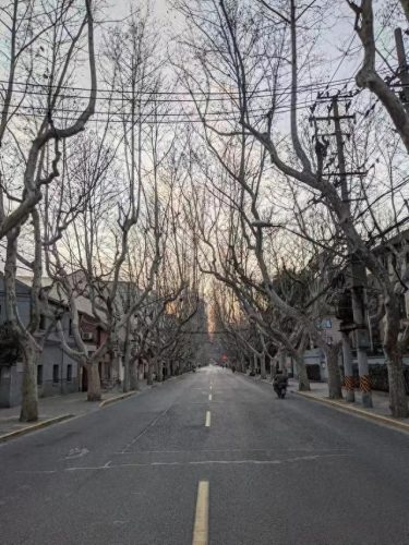 铜川西餐学校排名前十(西餐学校排名前十名)插图13