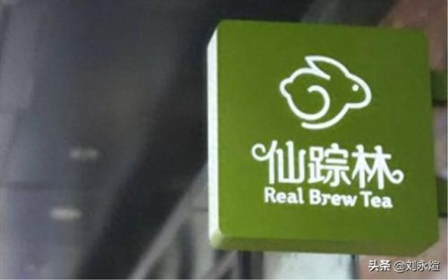 老狼信息网仙踪林-八零婚纱摄影工作室(老狼摄影图片)插图2