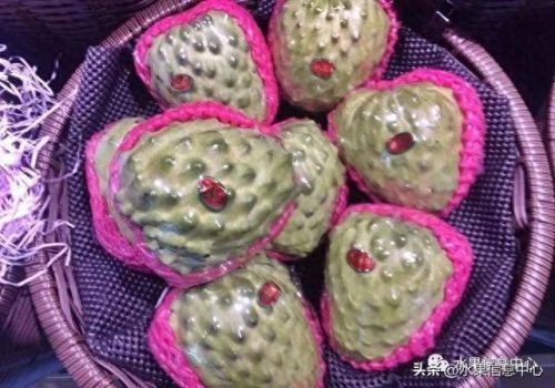 释迦果排名前十(释迦果什么口感最好)插图3