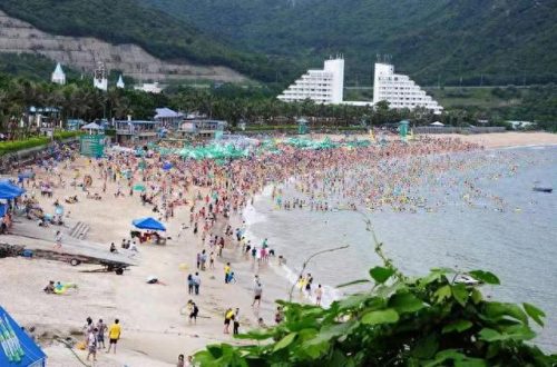 深圳水云间酒店公寓(深圳水云间酒店公寓价格)插图3