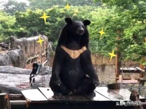 什么叫含胸(含胸是指什么意思)插图5
