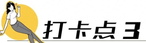 荷兰旅游排名前十(荷兰花海)插图15