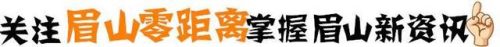 眉山市高新区小学排名前十(眉山最好小学排名前十)插图