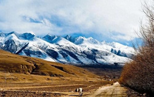 山南酒吧 排名前十(山南十大酒吧)插图4