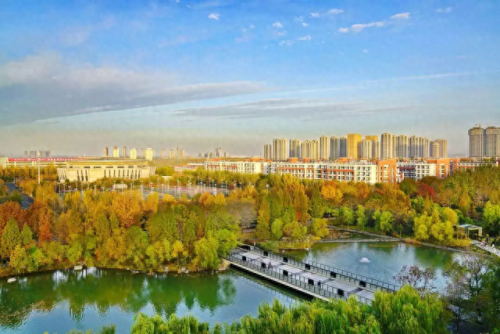 河南艺校排名前十(河南艺校排名)插图17