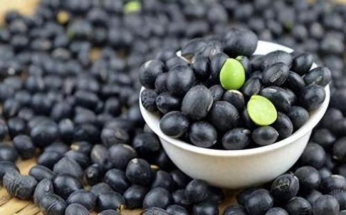 豆类功效排名前十(红薯和豆类能同食吗)插图4