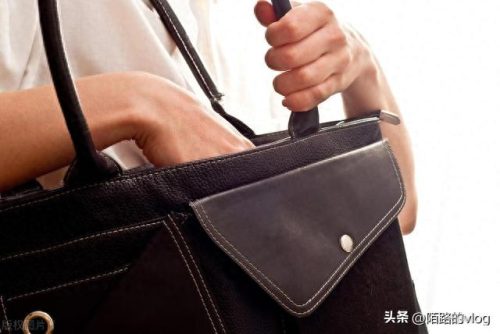 排名前十女包(路易威登女包价格表)插图2