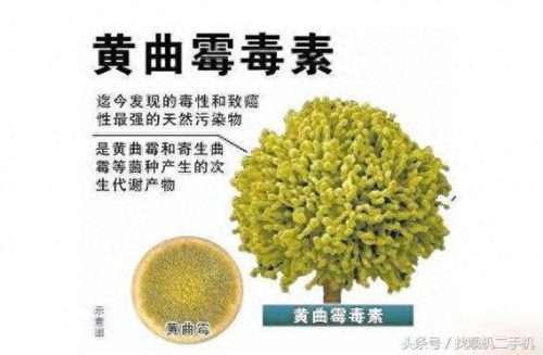 大蒜 地沟油(大蒜怎么鉴别地沟油)插图1