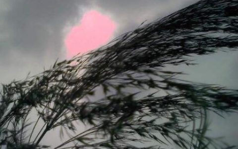 瞿塘峡口冷烟低(瞿塘峡诗句李白)