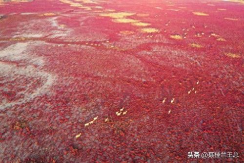 盐城水域排名前十(盐城市省内排名)插图58