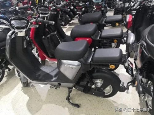 广西省电动自行车排名前十(全国自行车排名前十)插图2
