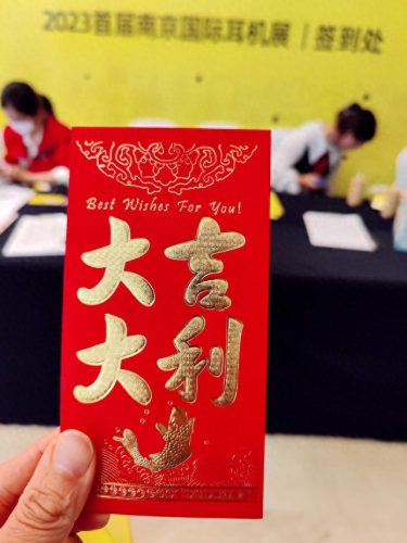 鲍比达与陈洁丽(陈洁丽家庭背景)插图102