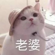 打招呼表情(哈喽表情包)插图22