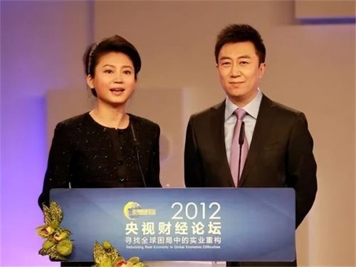 央视主持人陈伟鸿(央视主持人陈伟鸿现在干什么)插图1