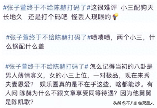 陈赫结婚了(赵雅珉儿子陈赫相片)插图6