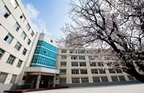 青海省共和县小学排名前十(青海重点小学前十名)插图14