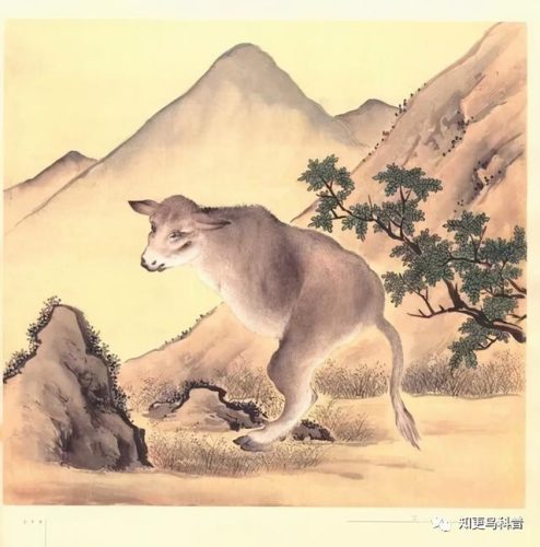 地动山摇代表什么生肖(地动山摇打一个数字)插图10