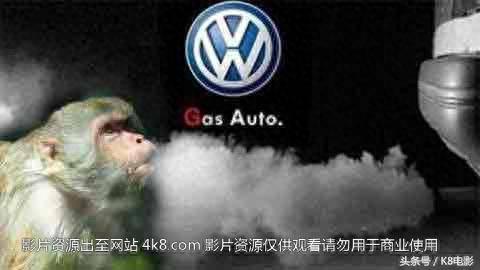 大众用猴子测尾气(大众帕萨特尾气超标怎么回事)插图