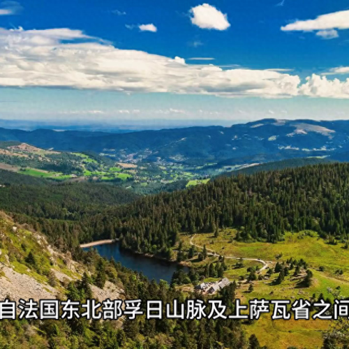 外国各种奶酪排名前十(一块奶酪)插图1