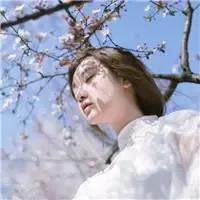 送你一朵勿忘我(送你一朵勿忘我原唱)插图