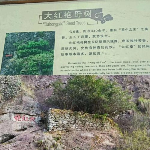古代茶叶价格排名前十(吴印之家茶叶价格)插图