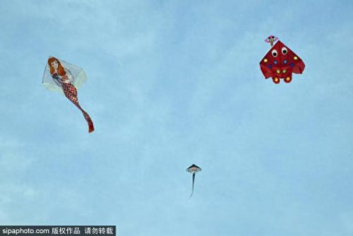 北京西城免费公园排名前十(北京最好免费公园)插图14