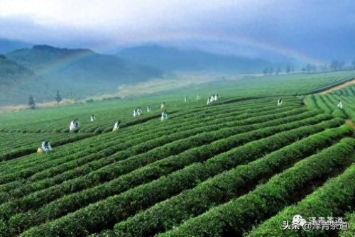 中国文化贸易产品排名前十(中国文化产品排行榜)插图48