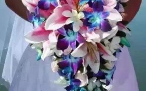 花卉价格排名前十(名贵花卉排名价格)