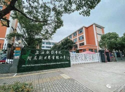 东滩小学排名前十(松江区小学排名一览表)插图5