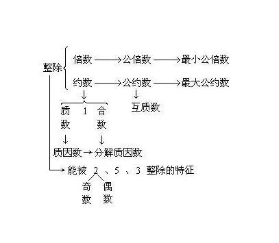 什么叫互质数(互质数的六种情况)插图3