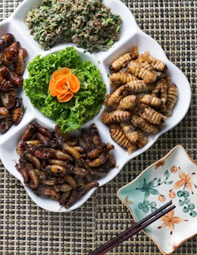 凤城美食排名前十(凤城好吃的排名第一)插图14