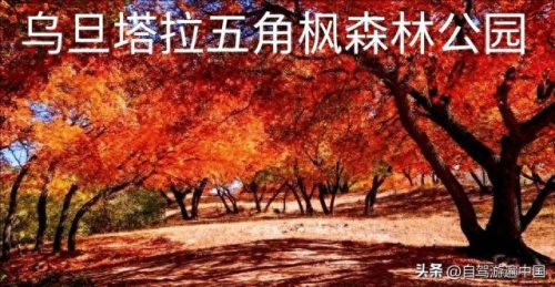 内蒙古20个景区排名前十(内蒙古十大五a景点)插图22