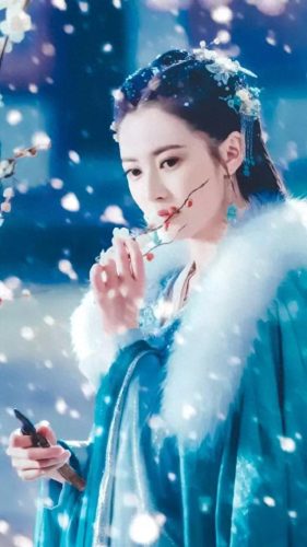 铺十里红妆可愿(十里繁花十里红妆)插图8