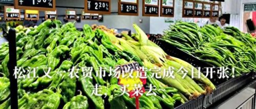 松江外商投资企业排名前十(松江外商投资排名)插图3