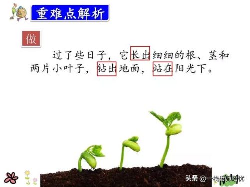 拂动是什么意思(拂动是拟声词吗)插图19