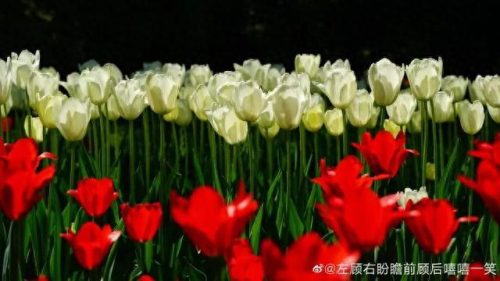 排名前十火的景点(新余景点排名前十)插图11