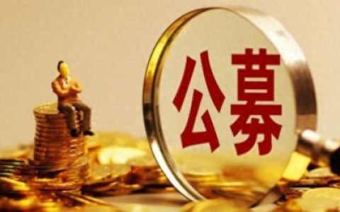 基金盈利排名前十(基金盈利排名前十名)