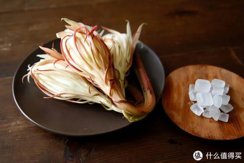 昙花的功效和吃法大全(昙花炒鸡蛋的正确做法)插图1