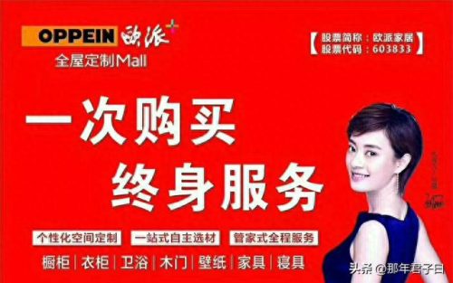 景德镇柜子公司排名前十(景德镇衣柜橱柜厂)插图