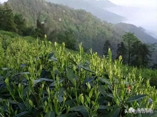中国文化贸易产品排名前十(中国文化产品排行榜)插图59
