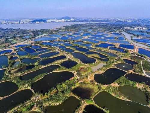 湖州农场排名前十(江苏十大农场排名)插图3