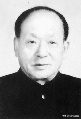 少先队总队长(少先队总队总队长)插图