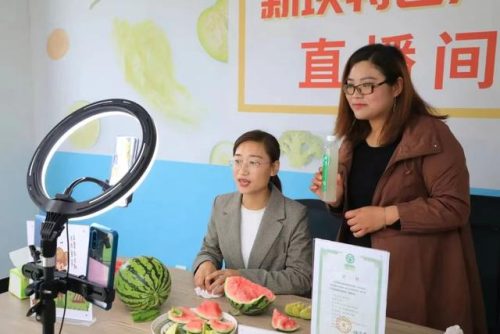 江苏社会大姐排名前十(江苏流浪大姐)插图2