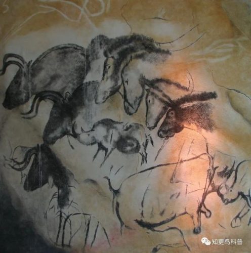 地动山摇代表什么生肖(地动山摇打一个数字)插图1